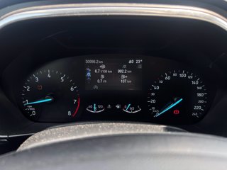 FORD Focus 1.0 EcoBoost 125 CV 5p. Active