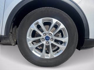 FORD Kuga 1.5 ecoblue Titanium 2wd 120cv auto