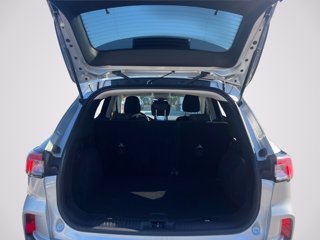 FORD Kuga 1.5 ecoblue Titanium 2wd 120cv auto
