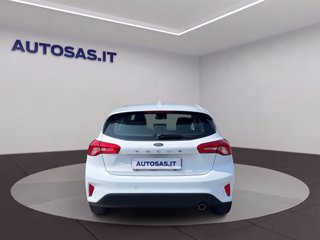FORD Focus 1.5 ecoblue Plus 95cv