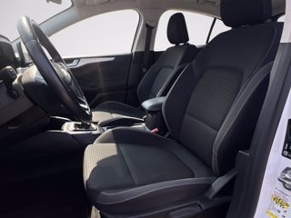 FORD Focus 1.5 ecoblue Plus 95cv