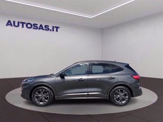 FORD Kuga 1.5 ecoblue ST-Line 2wd 120cv