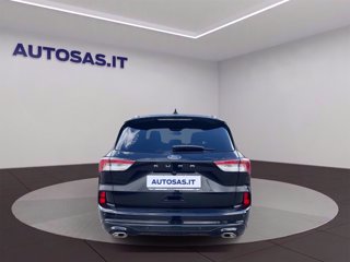 FORD Kuga 1.5 ecoblue ST-Line 2wd 120cv