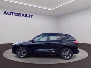 FORD Kuga 1.5 ecoblue ST-Line 2wd 120cv