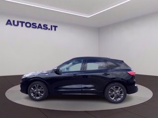 FORD Kuga 1.5 ecoblue ST-Line 2wd 120cv
