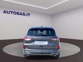 FORD Kuga 1.5 ecoblue ST-Line 2wd 120cv