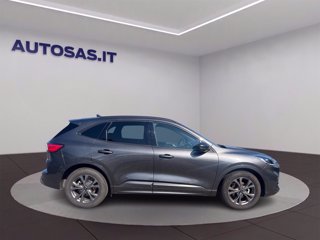 FORD Kuga 1.5 ecoblue ST-Line 2wd 120cv