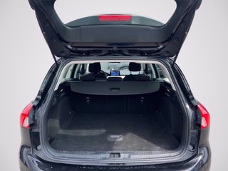 FORD Focus SW 1.5 ecoblue Business Co-pilot s&s 120cv auto