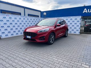 FORD Kuga 2.5 Plug In Hybrid 225 CV CVT 2WD ST-Line X