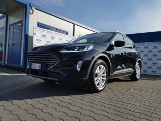 FORD Kuga 1.5 EcoBlue 120 CV 2WD Titanium