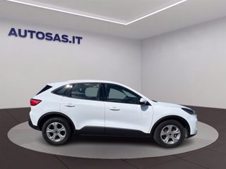 FORD Kuga 1.5 ecoblue Connect 2wd 120cv