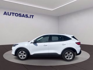 FORD Kuga 1.5 ecoblue Connect 2wd 120cv