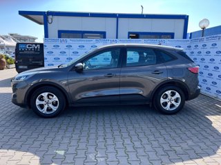 FORD Kuga 1.5 EcoBlue 120 CV aut. 2WD Connect