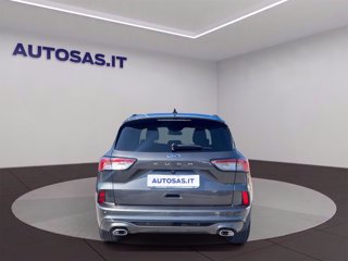 FORD Kuga 1.5 ecoblue ST-Line 2wd 120cv