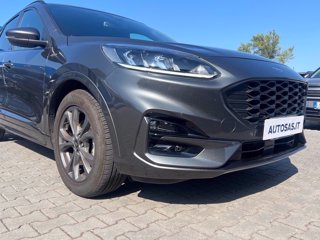 FORD Kuga 1.5 ecoblue ST-Line 2wd 120cv