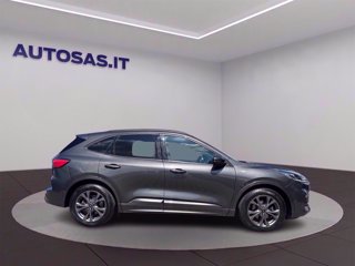FORD Kuga 1.5 ecoblue ST-Line 2wd 120cv
