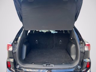 FORD Kuga 2.5 full hybrid ST-Line 2wd 190cv cvt