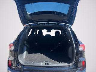 FORD Kuga 2.5 full hybrid ST-Line 2wd 190cv cvt