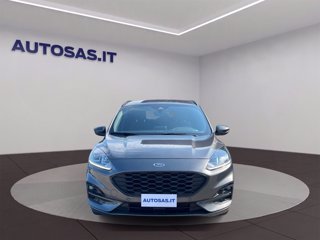 FORD Kuga 1.5 ecoblue ST-Line 2wd 120cv