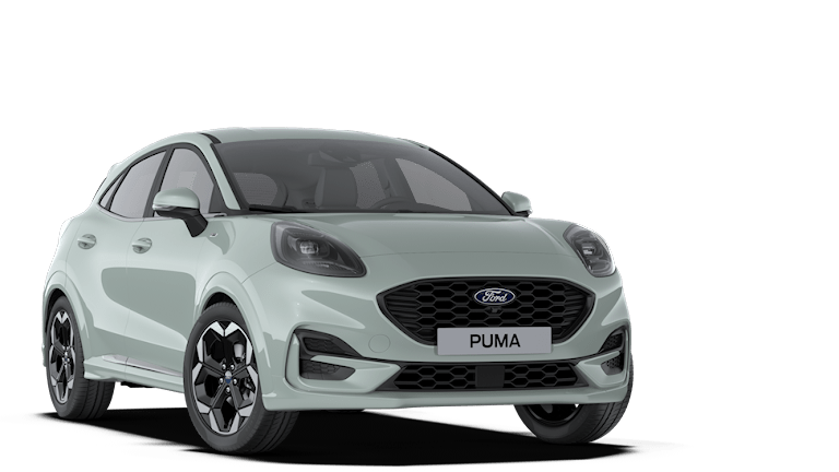 Nuova Puma Ford