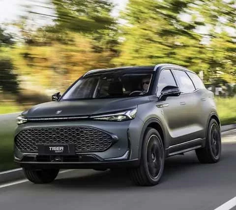 Tiger Eight Promozioni